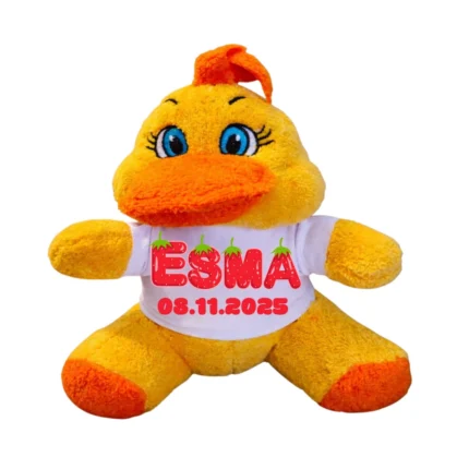 Kişiye Özel Baskılı Civciv Peluş Oyuncak