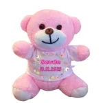 Kişiye Özel Baskılı Pembe Peluş Ayıcık